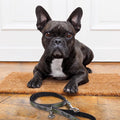 Star Wars The Mandalorian (Medium) Dog Leash - Image 5