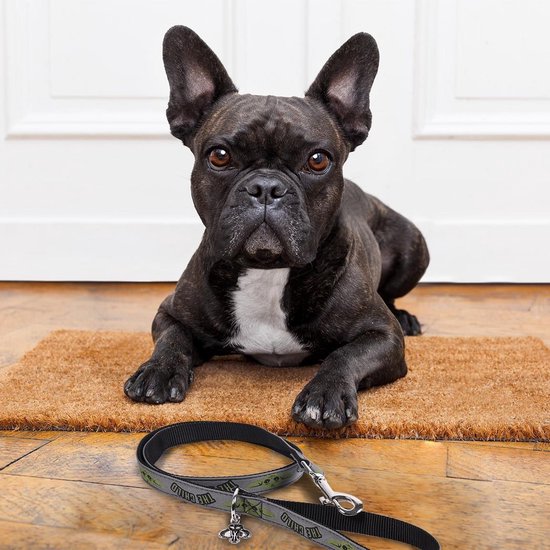 Star Wars The Mandalorian (Medium) Dog Leash - Image 5