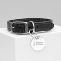 Personalised Classic Black Leather Dog Collar with Tag