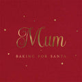 Personalised Baking for Santa Christmas Apron