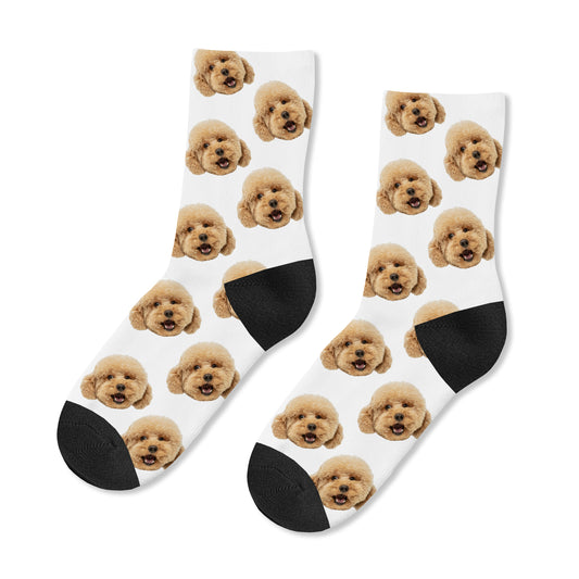 Personalised Dog Photo Kids Socks, front detail