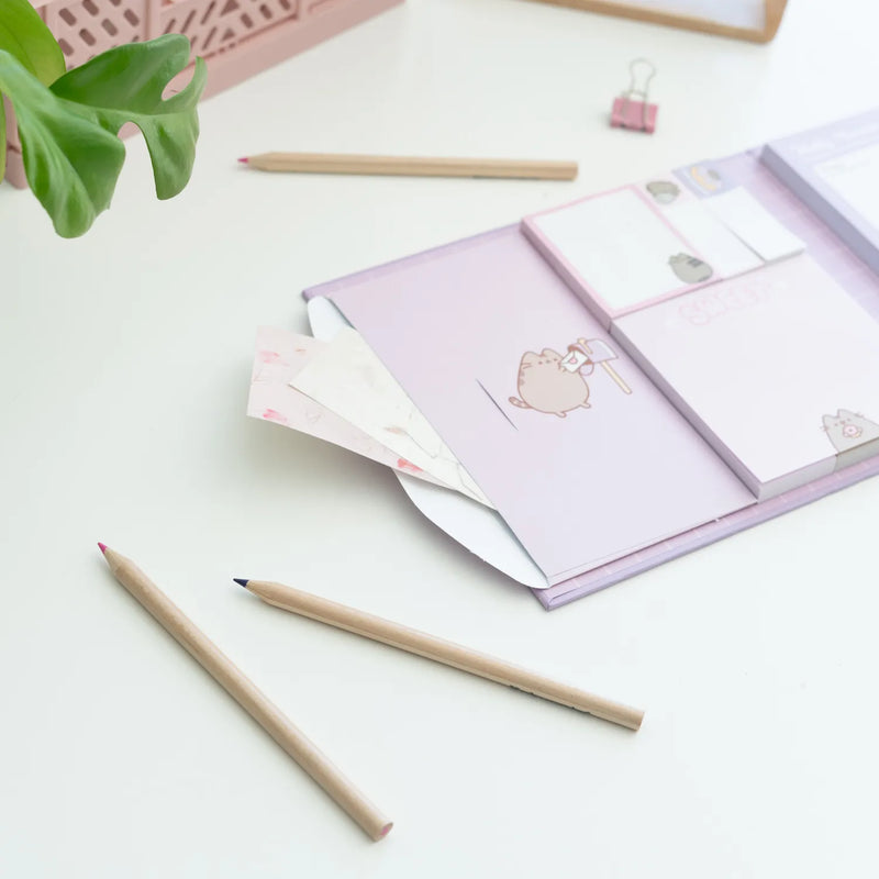 Pusheen Moments Weekly Planner with Sticky Notes packaging view