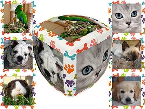 V Cube "2 Essential Pets Cube (Multi Colour) - Image 2