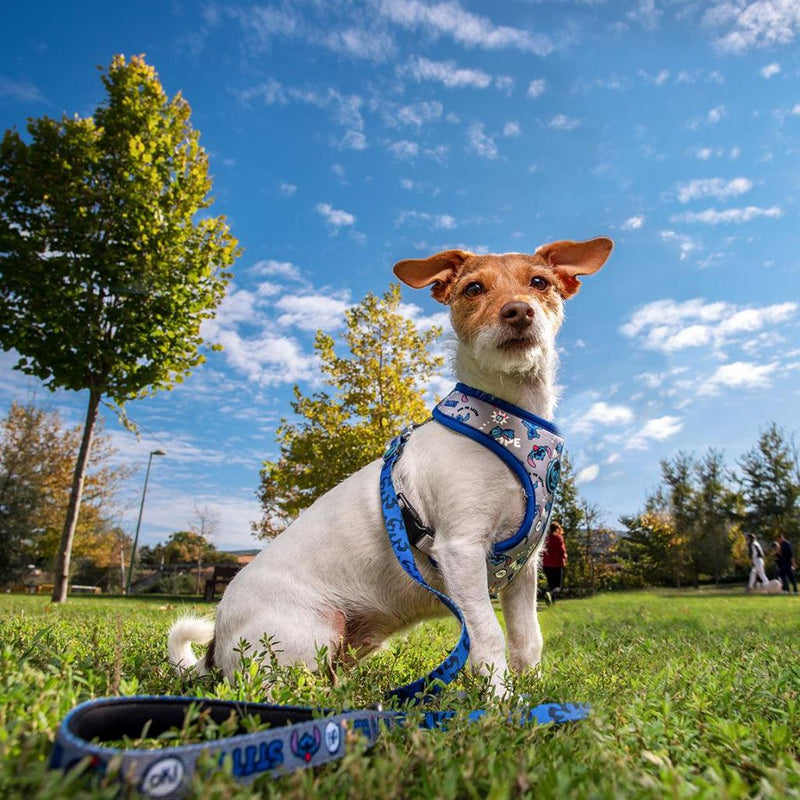 Stitch Premium (Medium/Large) Dog Harness - Image 4