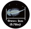 The Original Sea Monkeys On Mars DI23229 Brand New & Sealed Sci-Fi Aquarium Gift, close-up detail