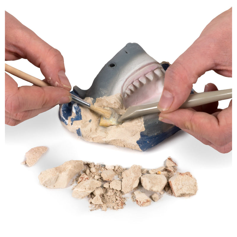 National Geographic Shark Tooth Dig Kit STEM Educational Activity Kit Brand New, close-up detail