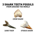 National Geographic Shark Tooth Dig Kit STEM Educational Activity Kit Brand New, alternate view