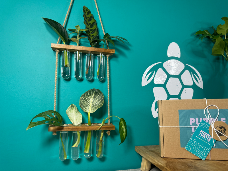Plant Propagation Gift Set #4, side angle