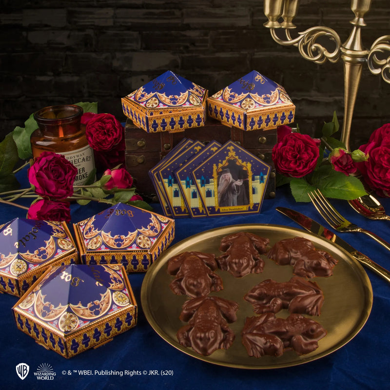 Harry Potter Chocolate Frog Mould with Wizard Cards and DIY Boxes