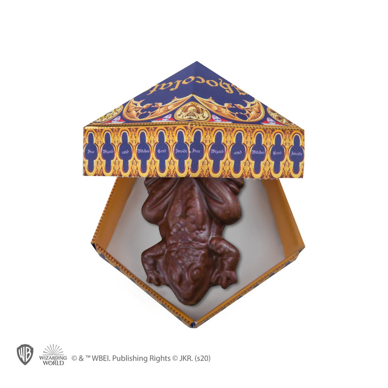 Harry Potter Chocolate Frog Mould with Wizard Cards and DIY Boxes