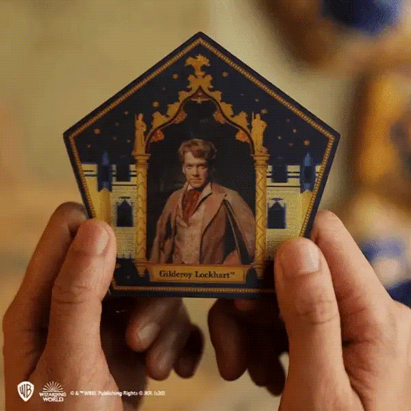 Harry Potter Chocolate Frog Mould with Wizard Cards and DIY Boxes
