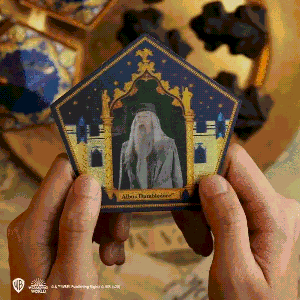 Harry Potter Chocolate Frog Mould with Wizard Cards and DIY Boxes