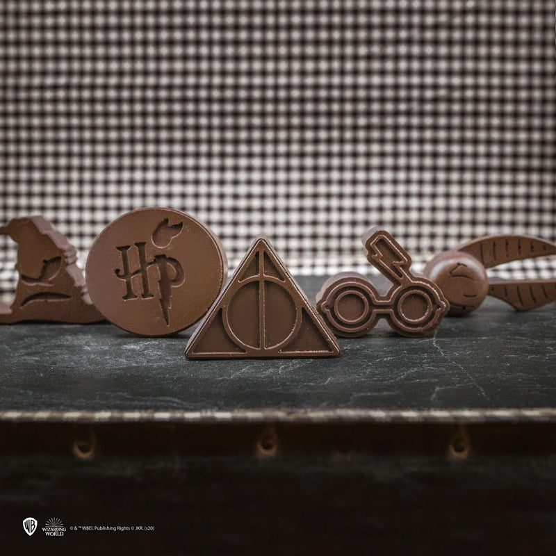 Harry Potter 12 Symbol Chocolate and Ice Cube Silicone Mould