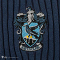 Harry Potter Ravenclaw Quidditch Sweater