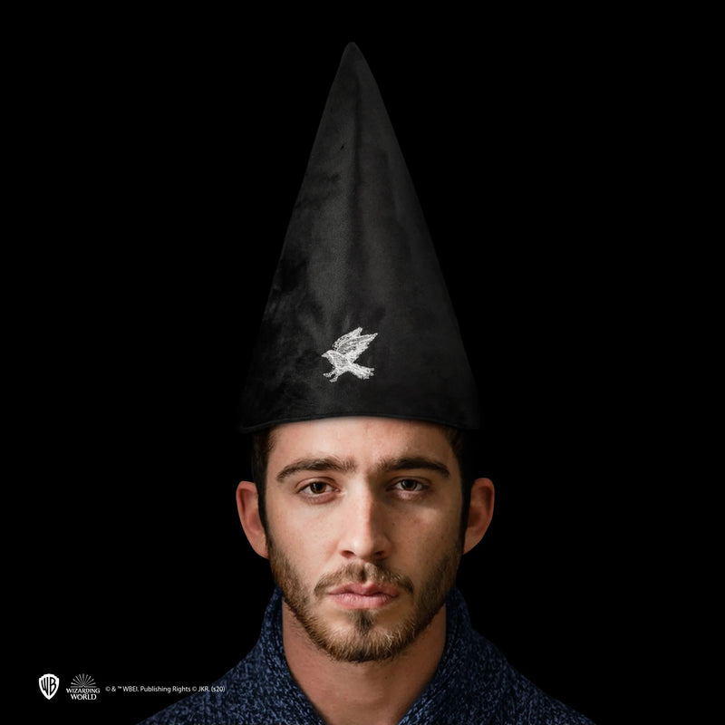 Harry Potter Ravenclaw Student Hat (image 6 of 8)