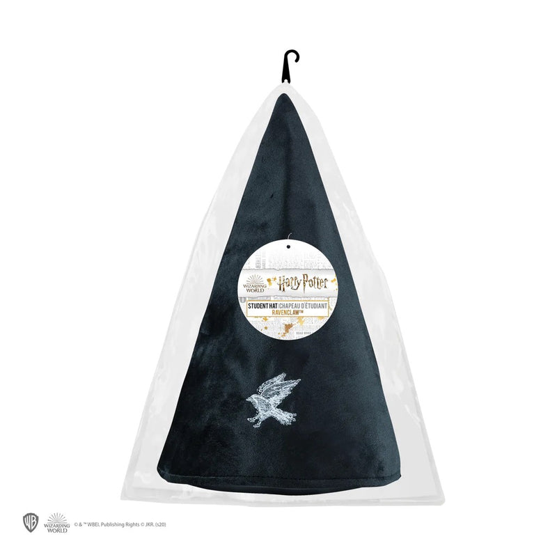 Harry Potter Ravenclaw Student Hat (image 8 of 8)