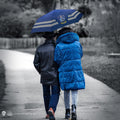 Harry Potter Ravenclaw Umbrella