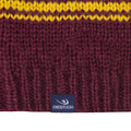 Harry Potter Gryffindor Slouchy Beanie