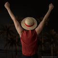 One Piece Monkey D. Luffy Straw Hat