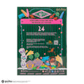 Harry Potter Honeydukes Advent Calendar 2025