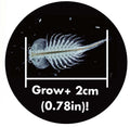 SEA MONKEYS MAGIQUARIUM, close-up detail