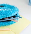 Sesame Street Biscuit Monster Plush Case packaging view