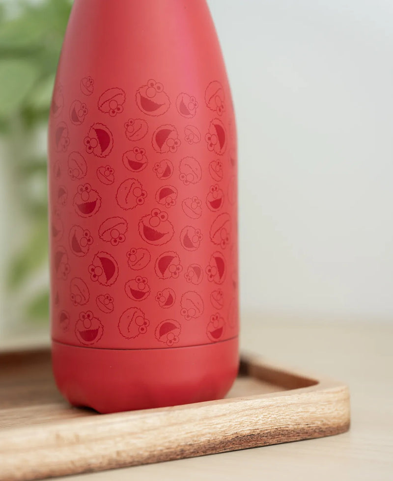 Sesame Street Hot & Cold 260ml Metal Bottle close up detail
