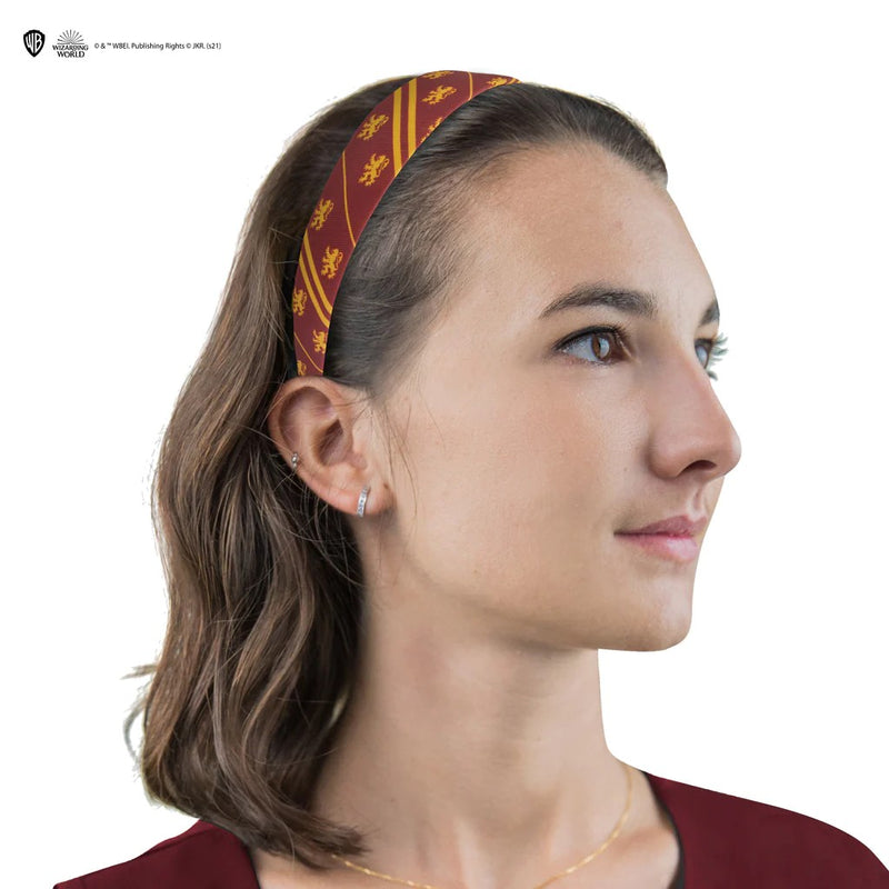 Harry Potter Classic Gryffindor Hair Accessories Set, rear view