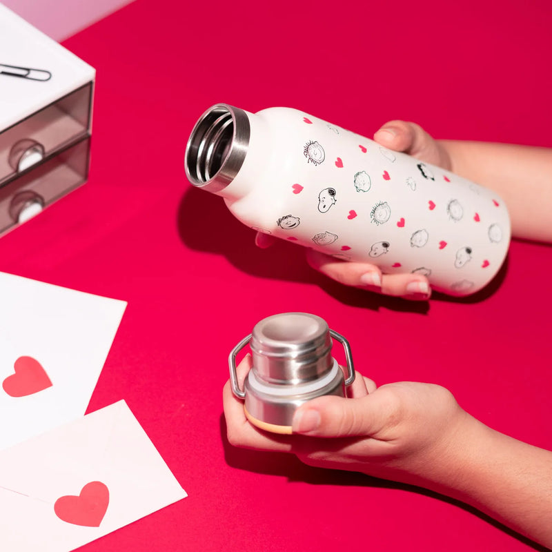 Snoopy Love Season Metal Water Bottle 500ml with Handle packaging view
