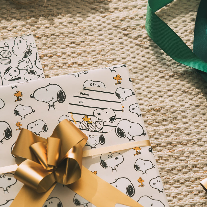 Snoopy Wrapping Paper Set packaging view