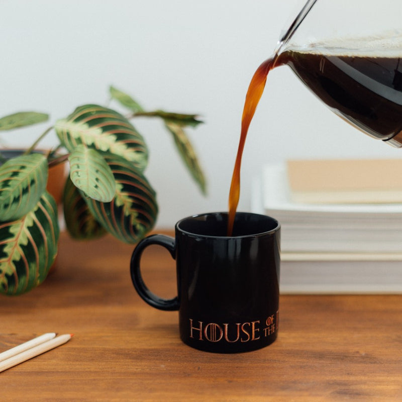 Game of Thrones House of the Dragon Heat Changing Mug
