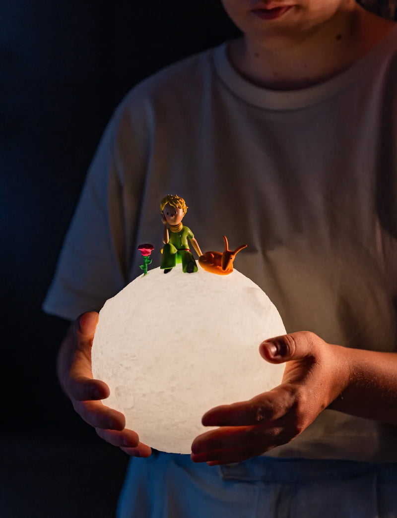 The Little Prince Lamp packaging view