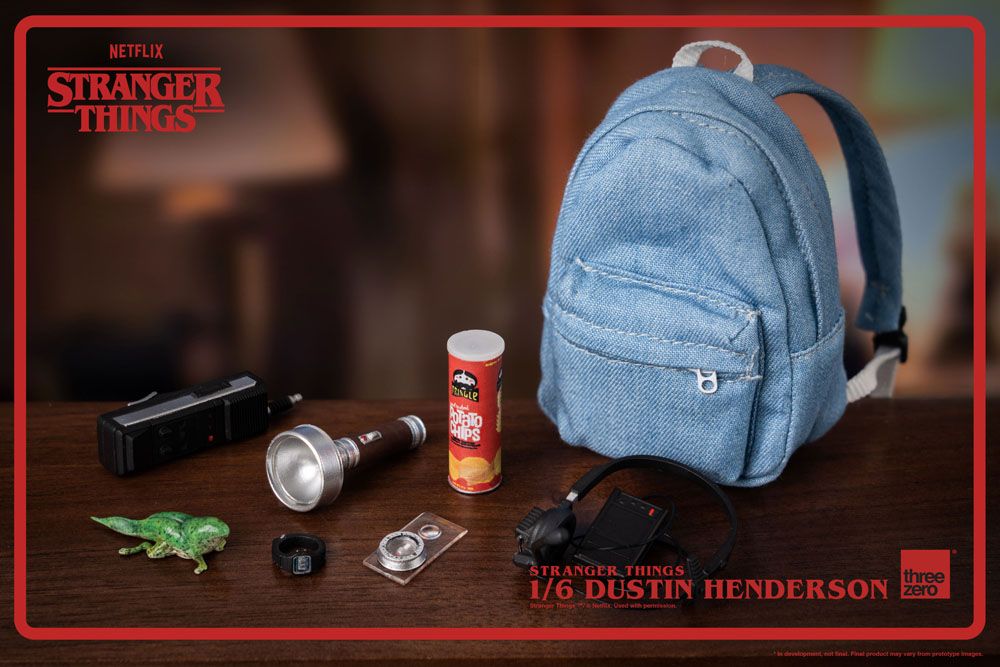 Stranger Things Dustin Henderson 1/6 Scale Action Figure