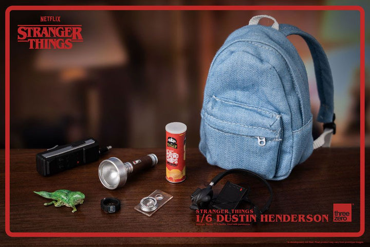 Stranger Things Dustin Henderson 1/6 Scale Action Figure