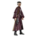 Star Wars The Black Series The Phantom Menace Padmé Amidala 6" Action Figure