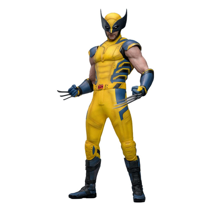 Hot Toys Wolverine Deadpool and Wolverine Movie Masterpiece Action Figure 1/6 Scale 31cm collectible from Marvel