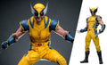 Wolverine Hot Toys 1/6