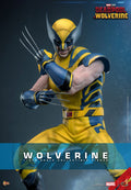 Wolverine Hot Toys 1/6