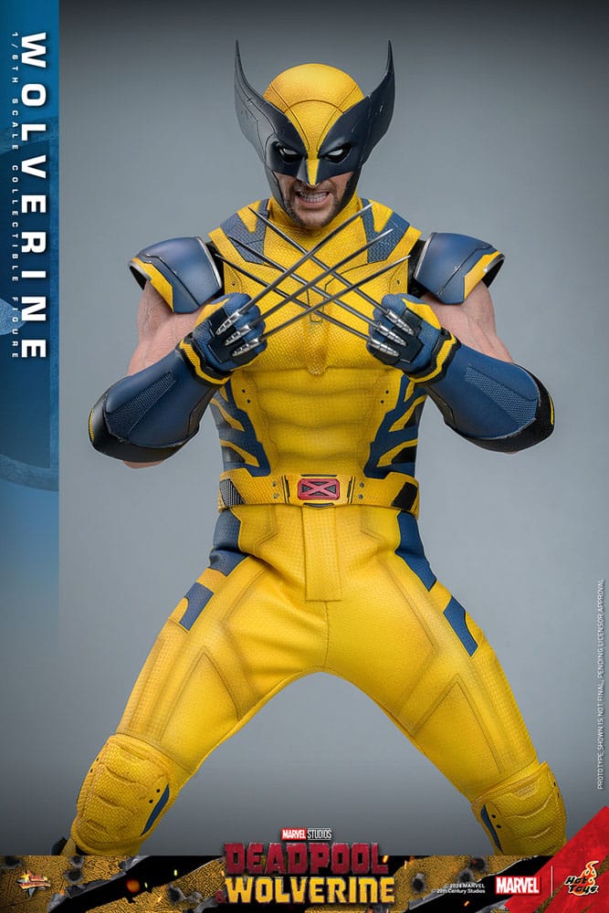Wolverine Hot Toys 1/6