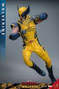 Wolverine Hot Toys 1/6