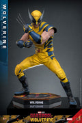 Wolverine Hot Toys 1/6