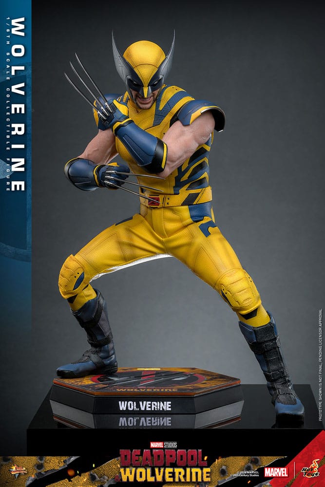 Wolverine Hot Toys 1/6