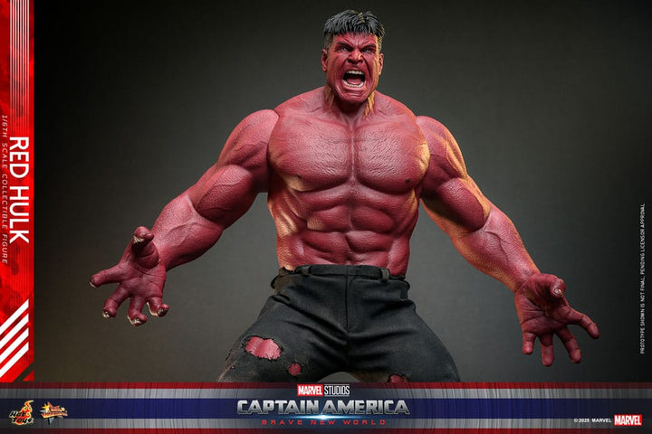 Hot Toys Captain America Brave New World Red Hulk 1/6th Scale Figure