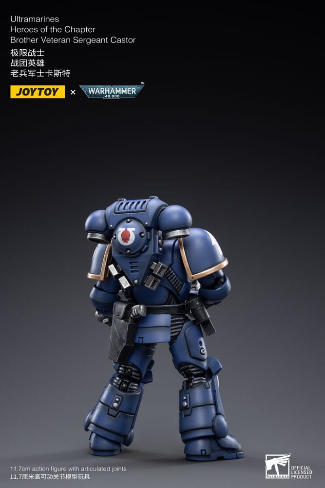 Warhammer 40k Brother Veteran Sergeant Castor Ultramarines Action Figure 1 18 Scale