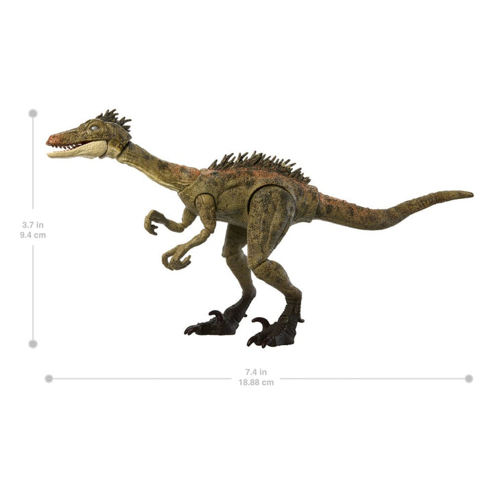 Jurassic World Hammond Collection Troodon Action Figure