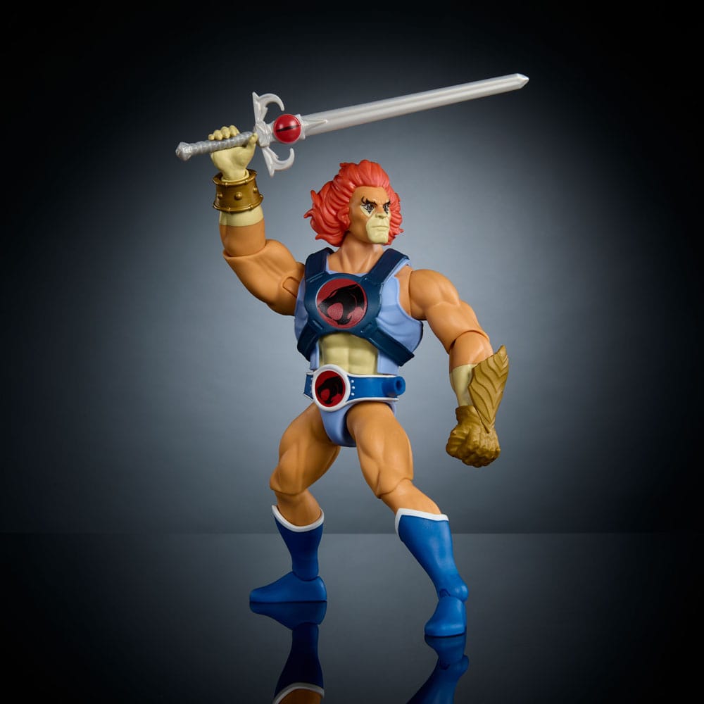 Masters Of Universe Origins & Thundercats Lion-O 5.5" Action Figure