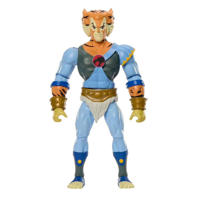 Masters Of Universe Origins & Thundercats Tygra 5'5" Action Figure, packaging shot