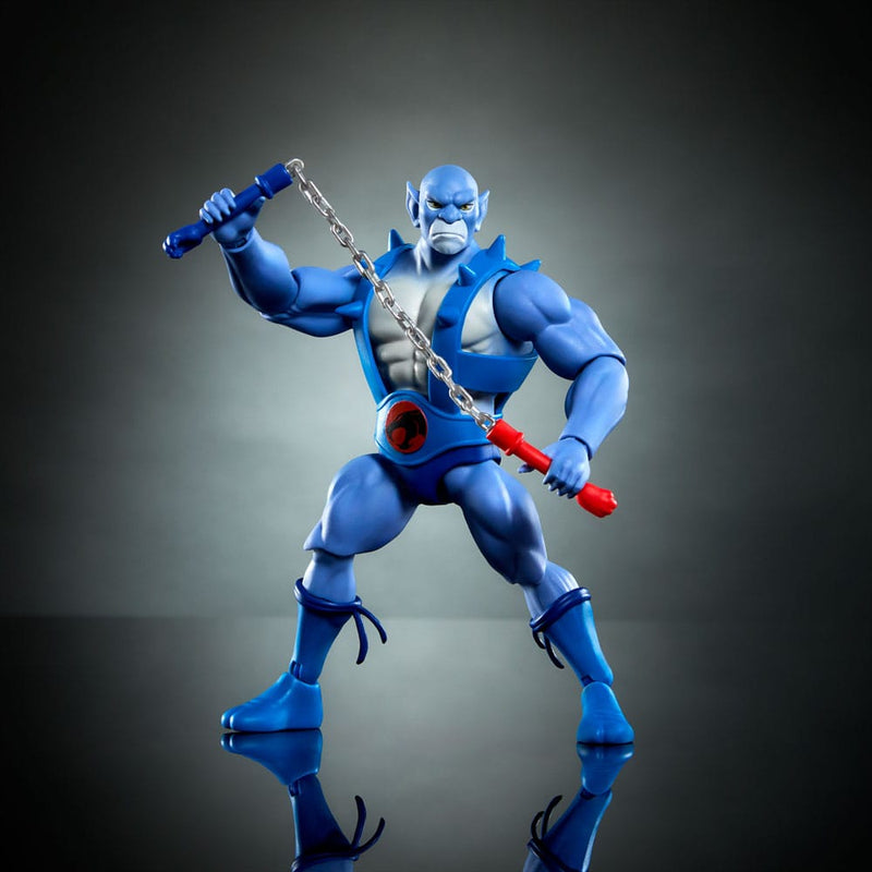 Masters Of Universe Origins & Thundercats Panthro 5.5" Action Figure, close-up detail