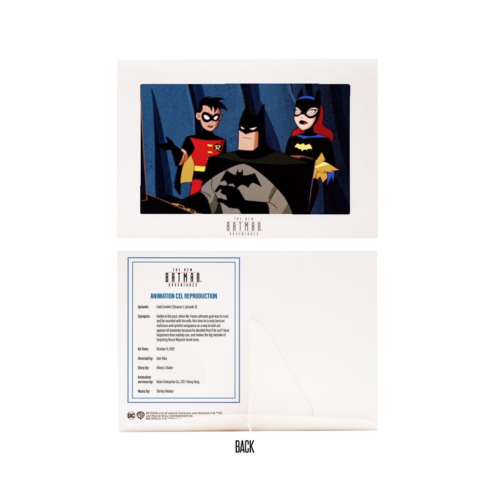 The New Batman Adventures Batman Silver DC Direct 1 6 Action Figure 15 cm