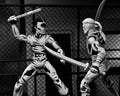TMNT: (Mirage Comics) Casey Jones Black & White 7 Scale Action Figure Teenage Mutant Ninja Turtles (Pre-Order Sep, in display